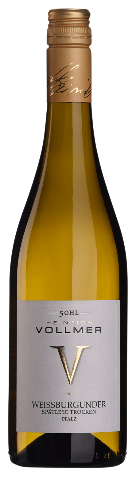 Bild: 50HL Weißburgunder trocken
