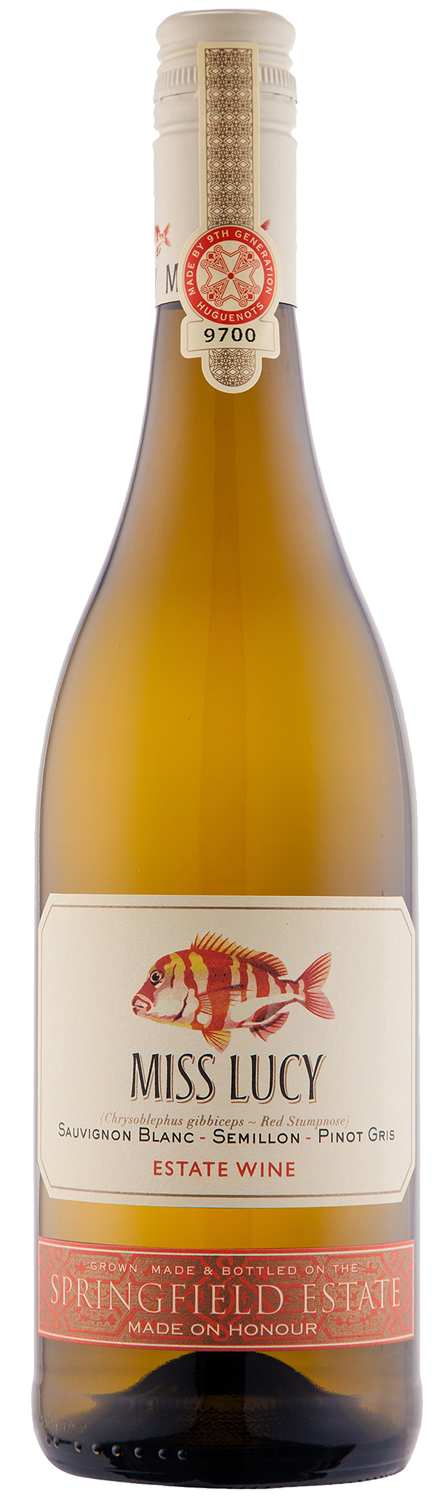 Bild: Springfield Miss Lucy 