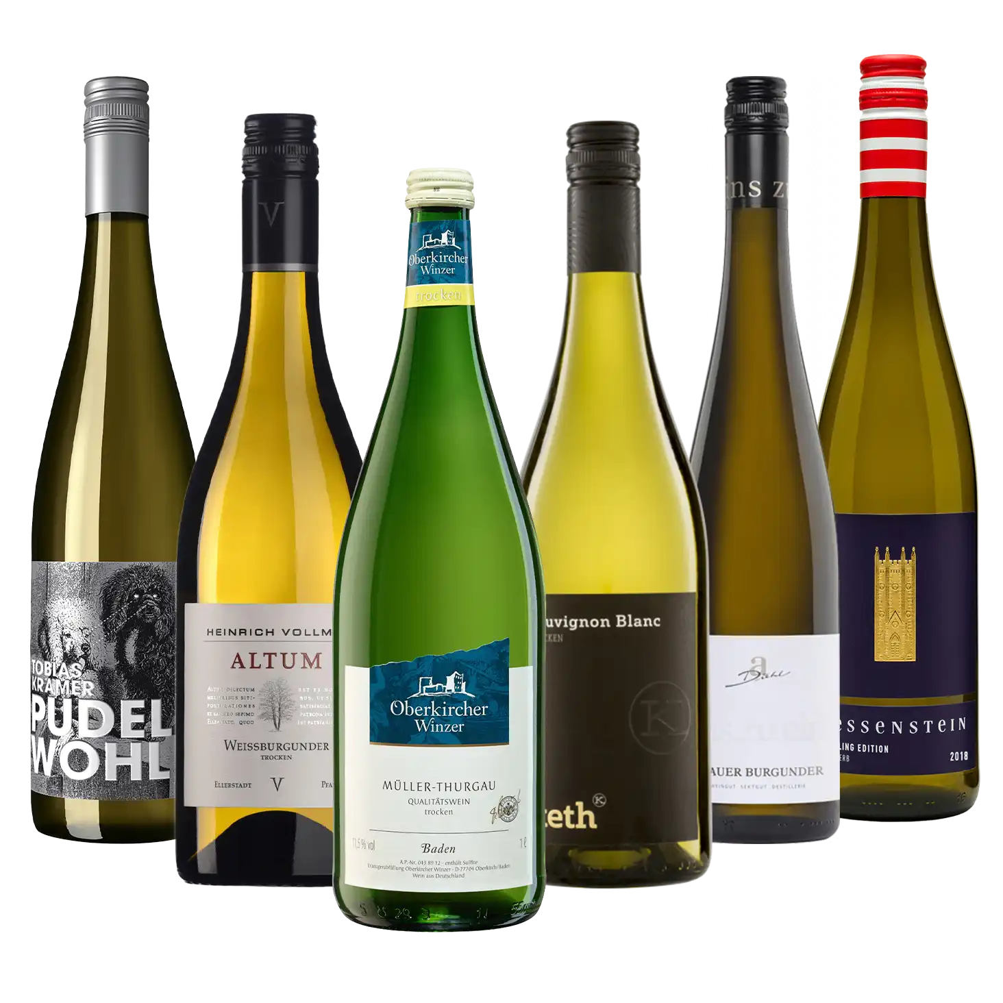 Weinpaket mit 6 verschiedenen Weißweinen